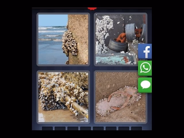 Comment obtenir des indices dans 4 images 1 mot ?