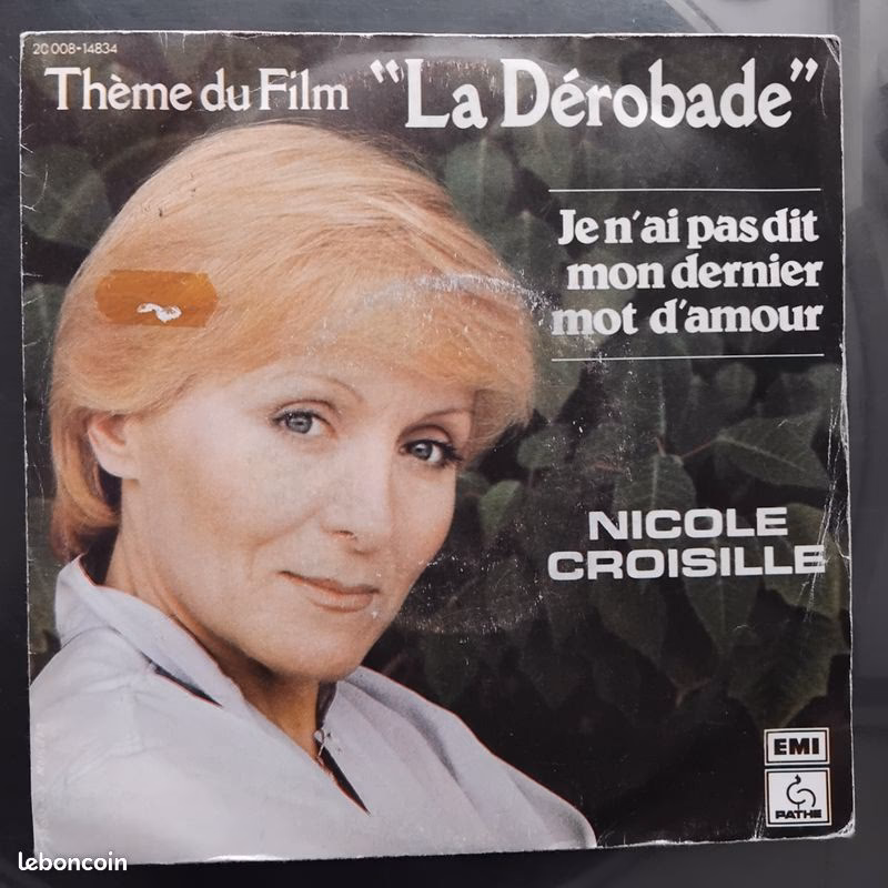 Quels sont les différents types de disques vinyles ?