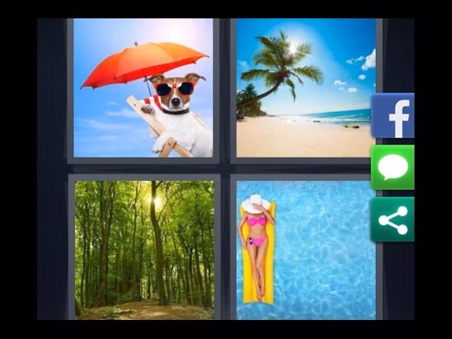 Quels sont les niveaux du jeu 4images 1 mot ?