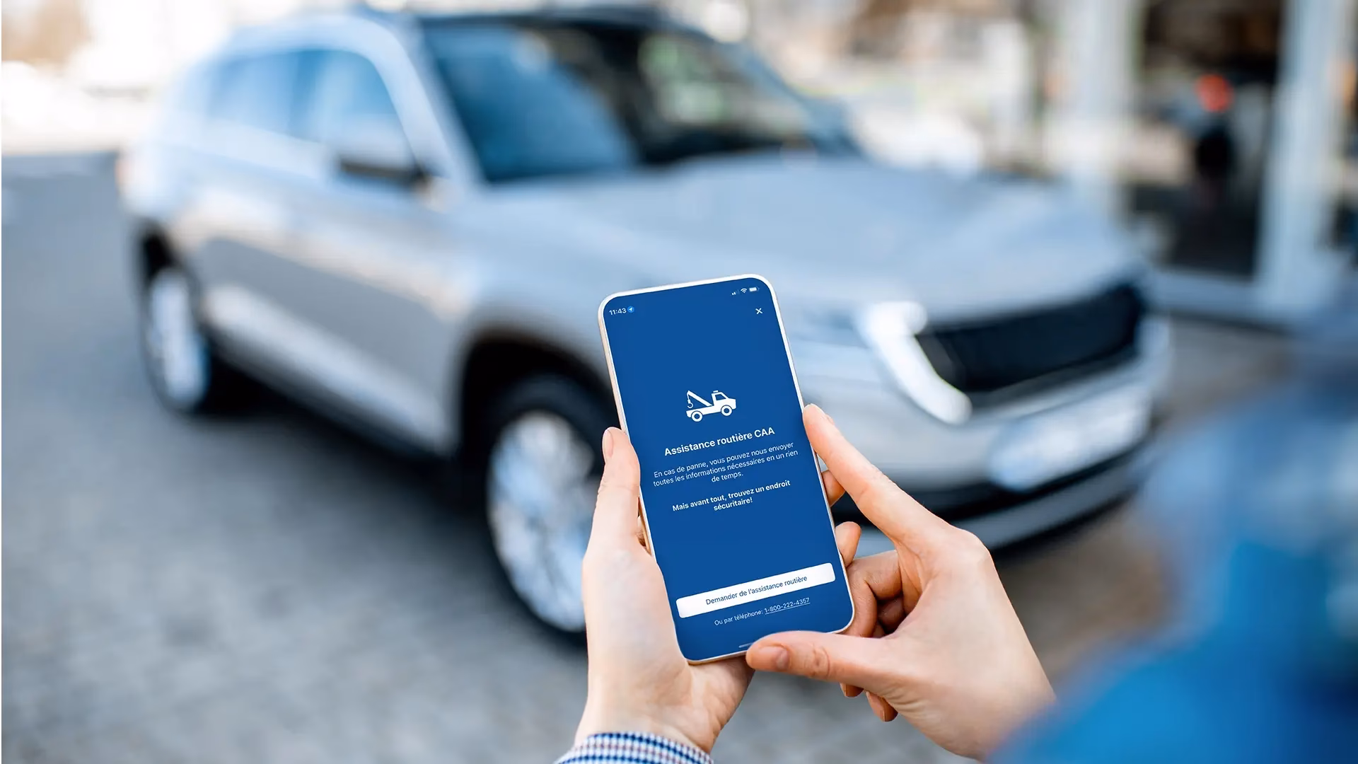 Do AAA members get a free car maintenance inspection?