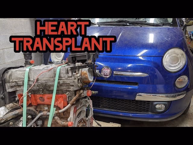 What kind of oil does a Abarth 500 take?