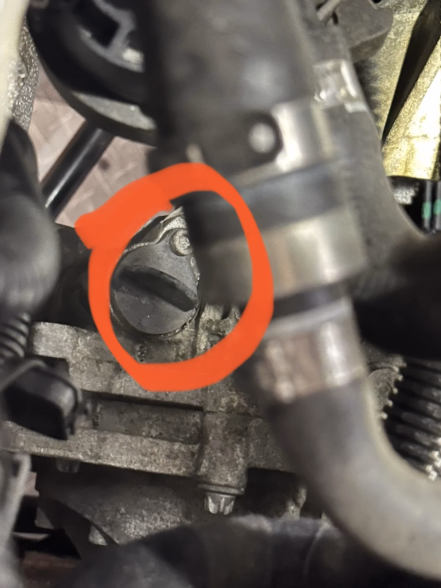 How to check Alfa Romeo transmission control oil level?