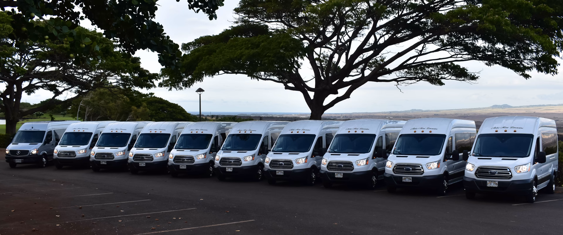 Are Aloha taxis any good?