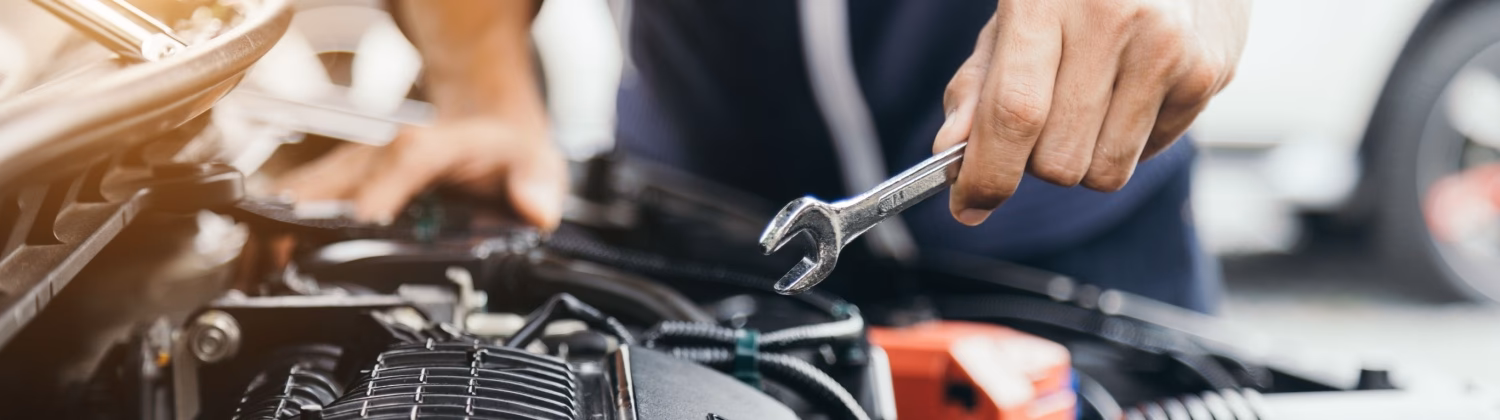 Where can I find the best garage services in Alton?