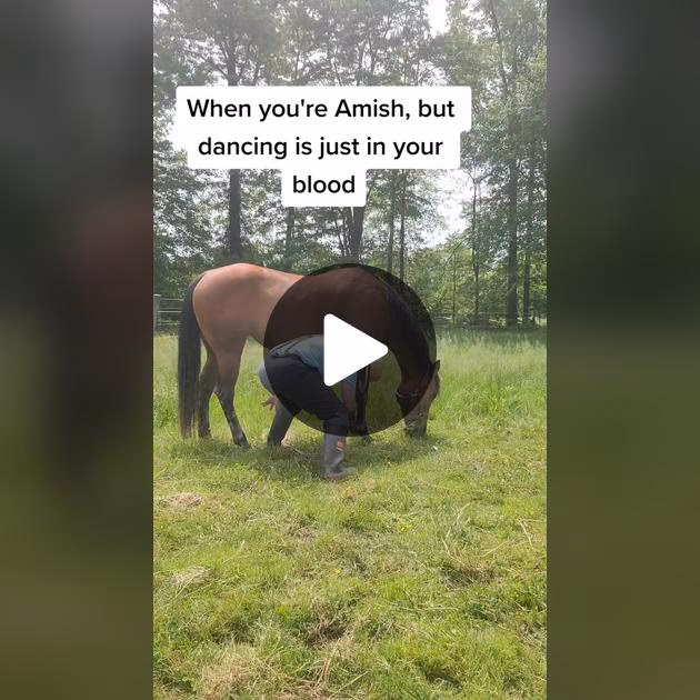 Is the Amish oil change a 'viral' TikTok?