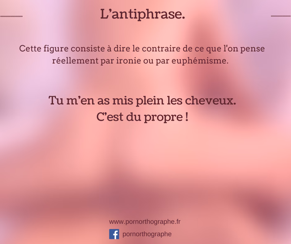 Comment comprendre l'antiphrase ?