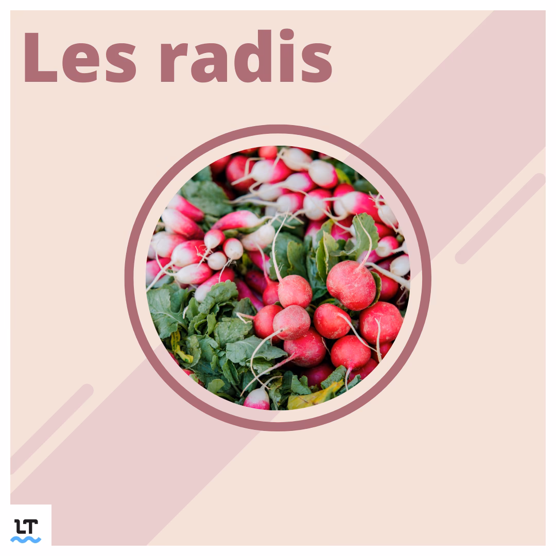 Comment faire de l’argent ?