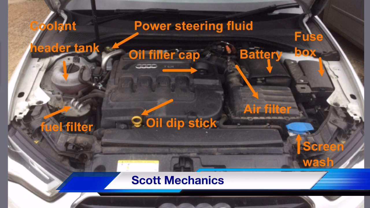 How much oil does the Audi A3 Sportback RS3 need?