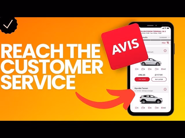 What is Avis Car Rental?