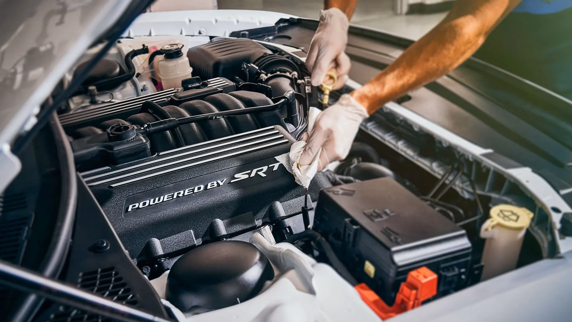 Where can I get BMW service in Bayshore?