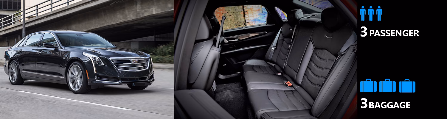 How do I get to Bellingham without a car?