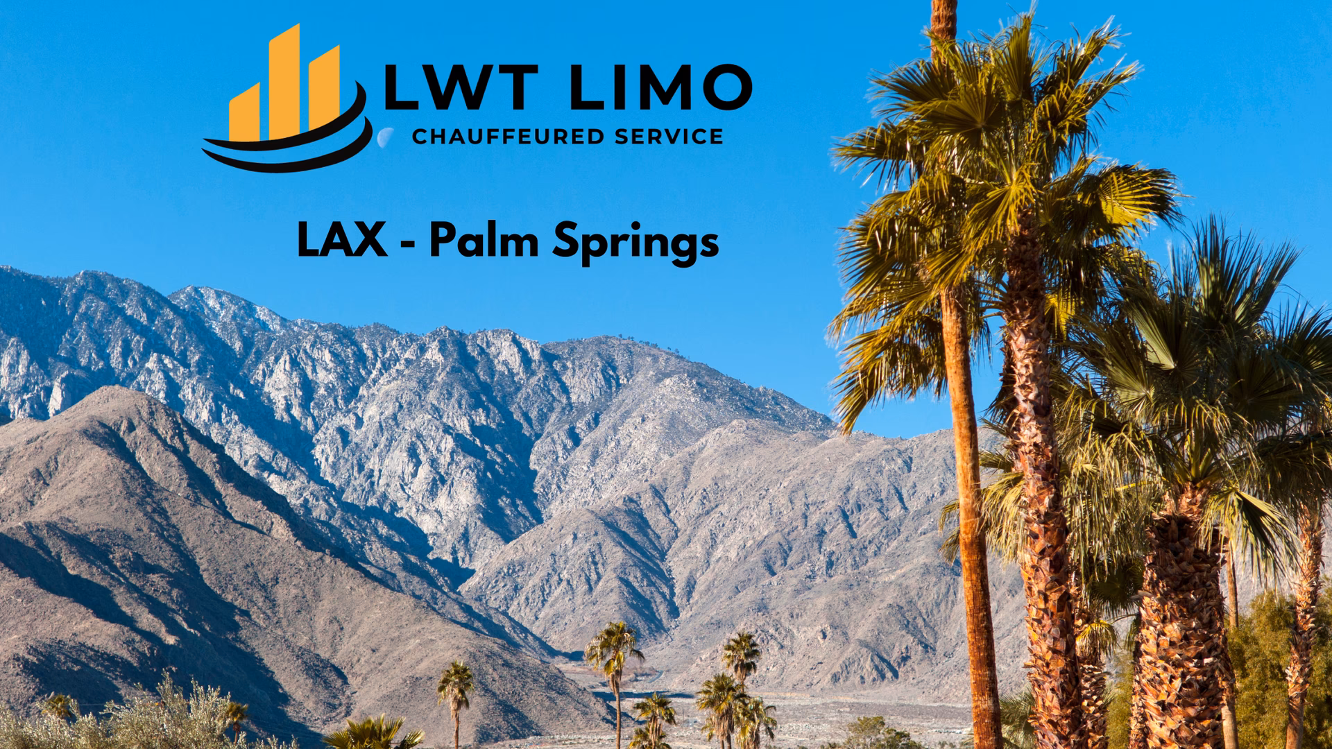 What types of limousine services do you offer in Palm Springs?