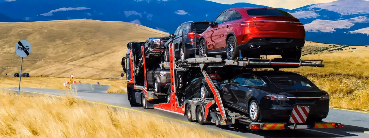 What are the different types of car shipping services?