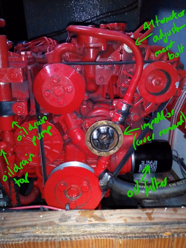 What kind of oil does beta use?