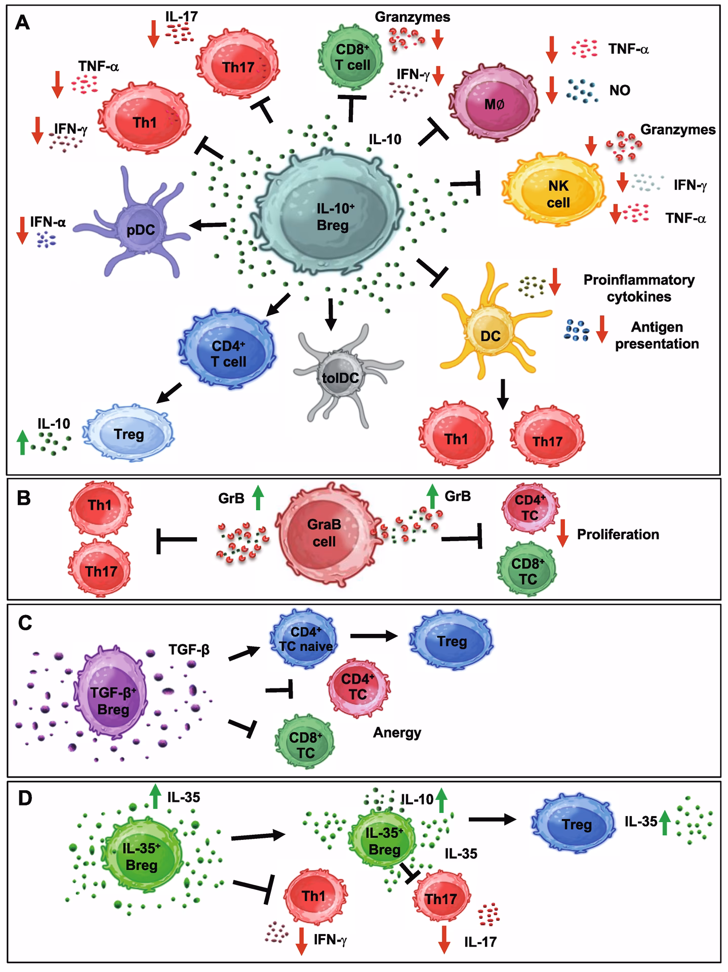 What changes have been made to MOT regulations in 2021?