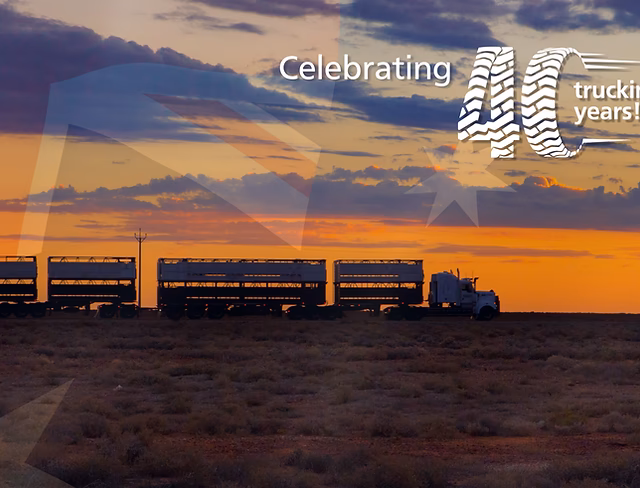 Where is Big Wheels truck alignment?