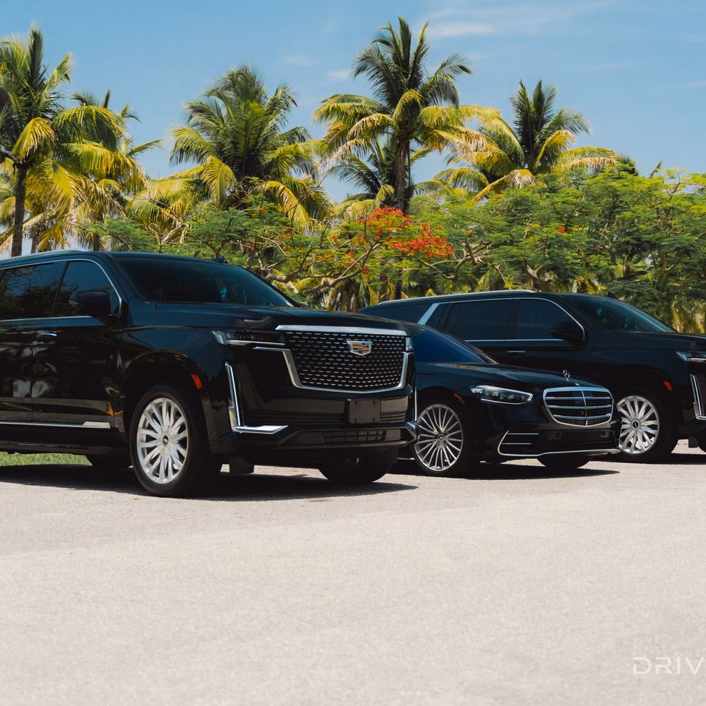 What is black car services?