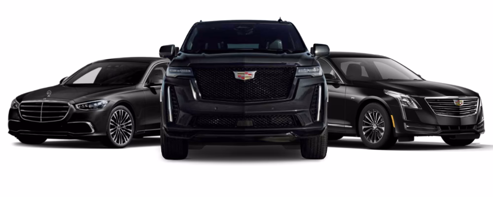 What is black diamond limo service?