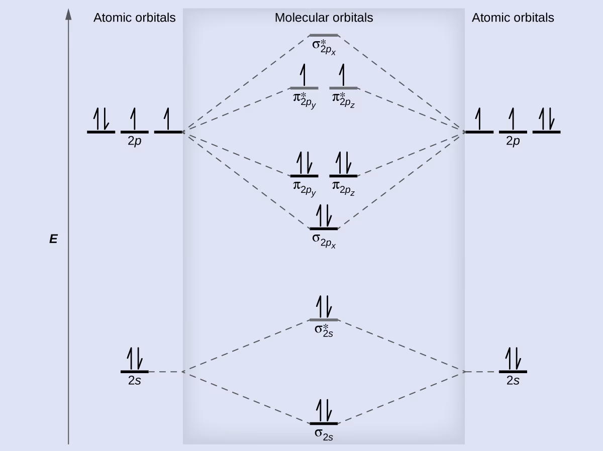 Does blue-detuned light create a MOT for CAF molecules?