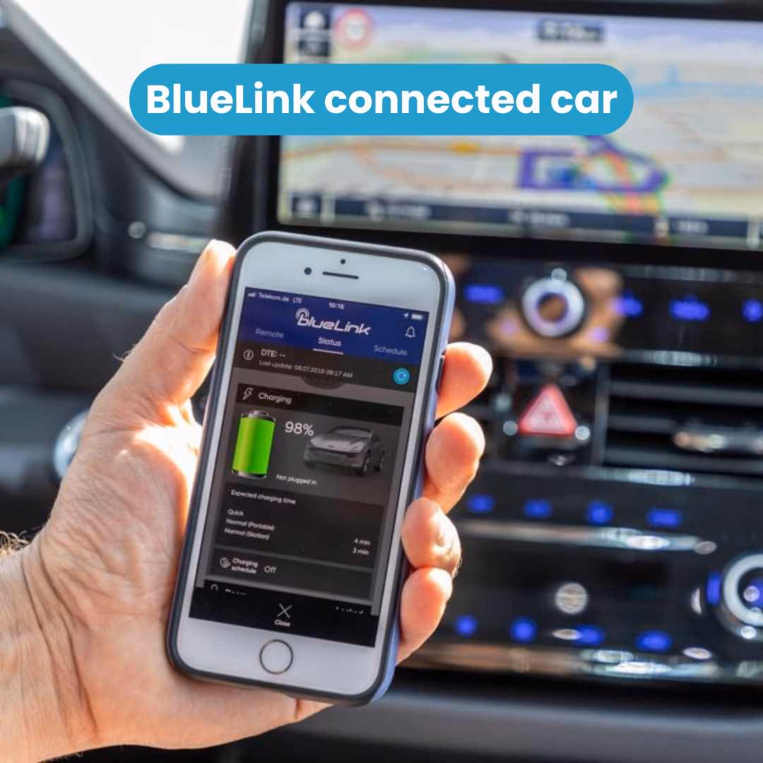 What services does BlueLink provide?