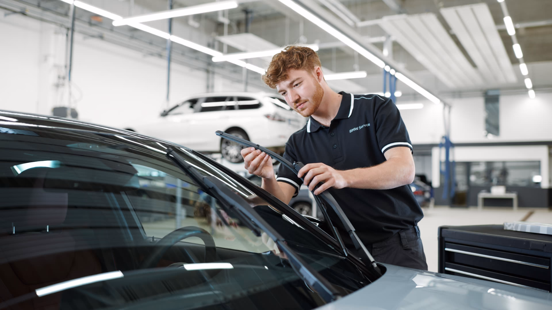 Who are the BMW / Mini specialists?