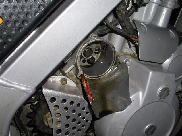 Can I change the oil and not change the filter?