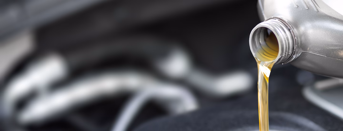 Who are the BMW service staff members?