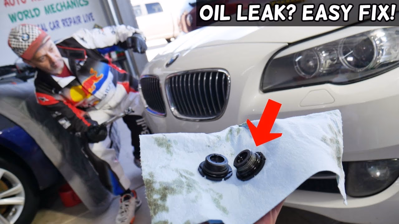 Is your BMW engine leaking oil?