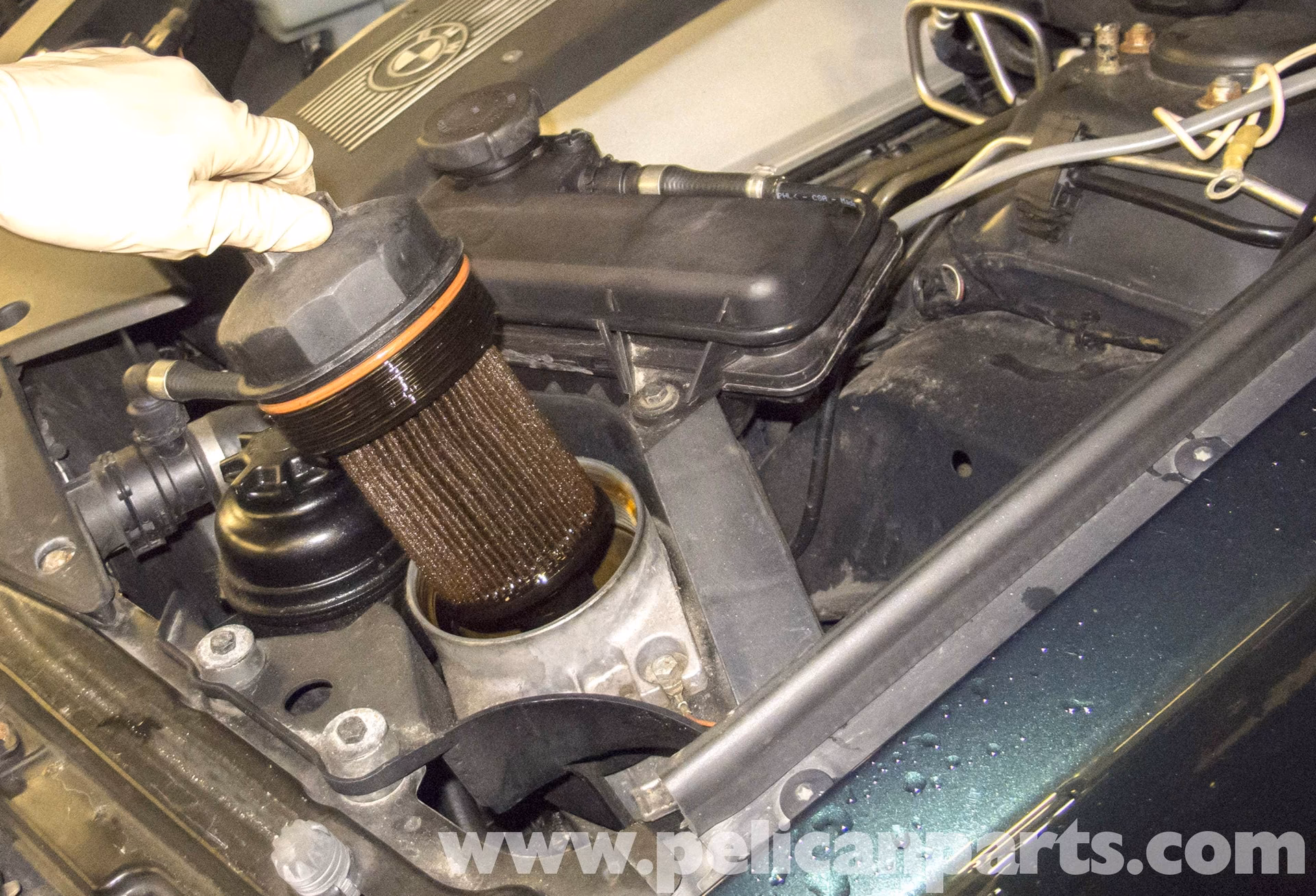 How to change oil & filter 2011 BMW X3 xDrive28i?