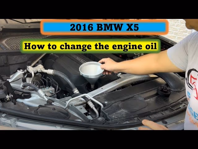 How much oil does a BMW 5W30 need?