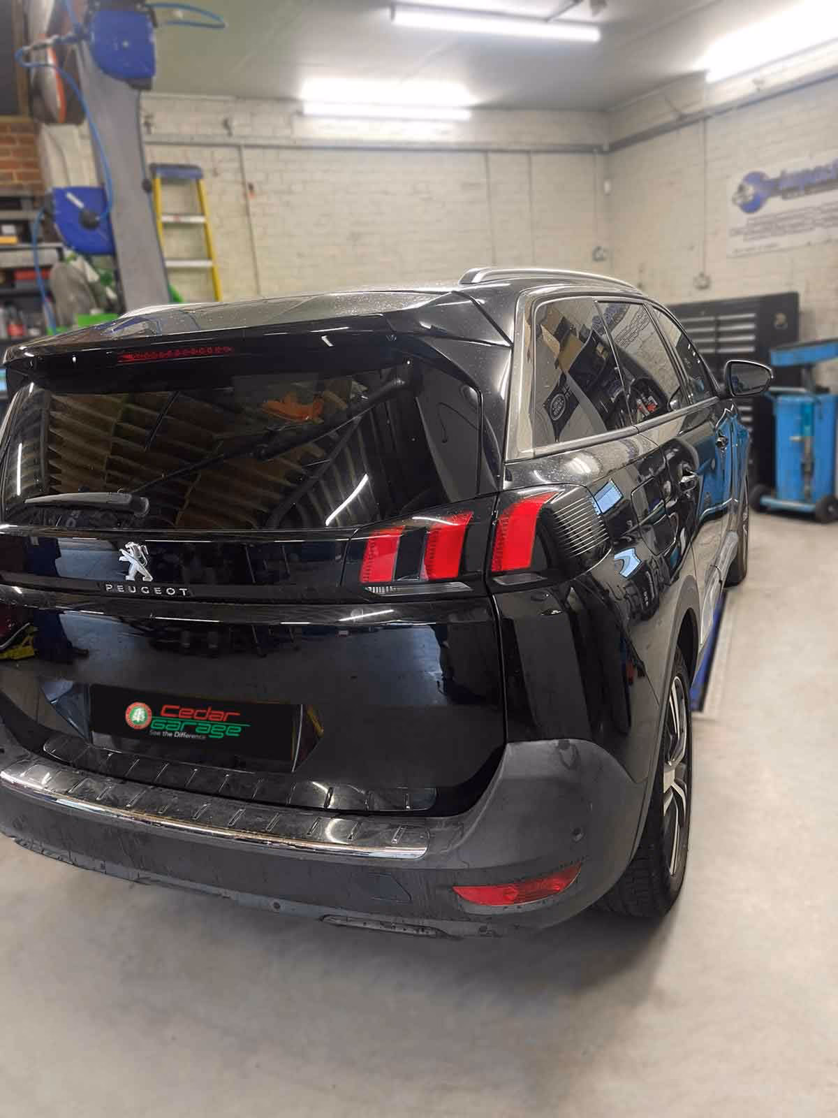 What does a bonnet strut do?