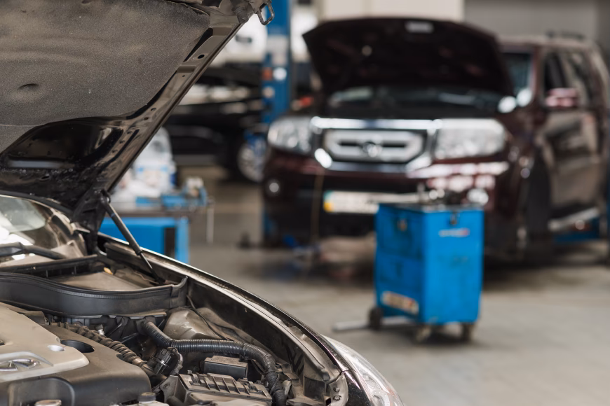 Where is Bosch car services located?