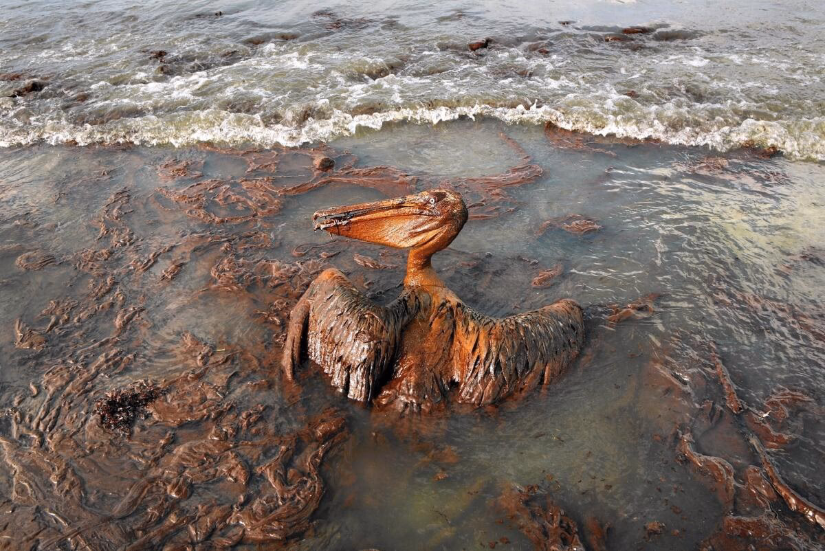 What did the Minerals Management Service do before the BP oil spill?