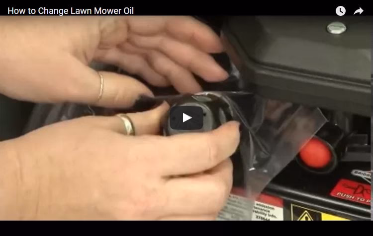 How much oil does a Briggs & Stratton lawn mower use?
