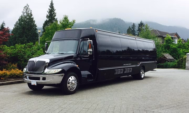 What is checkmybus?