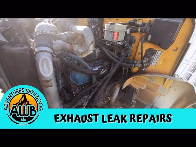 Who are DT Bus & Coach?