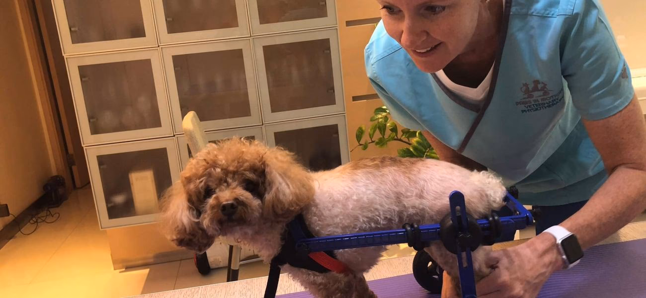 What are the hours of operation at buzbys garage?