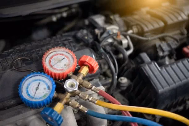 How do I contact Alpine Air Wellington?