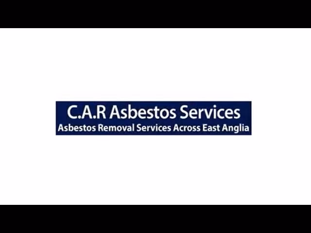 What are asbestos management services?