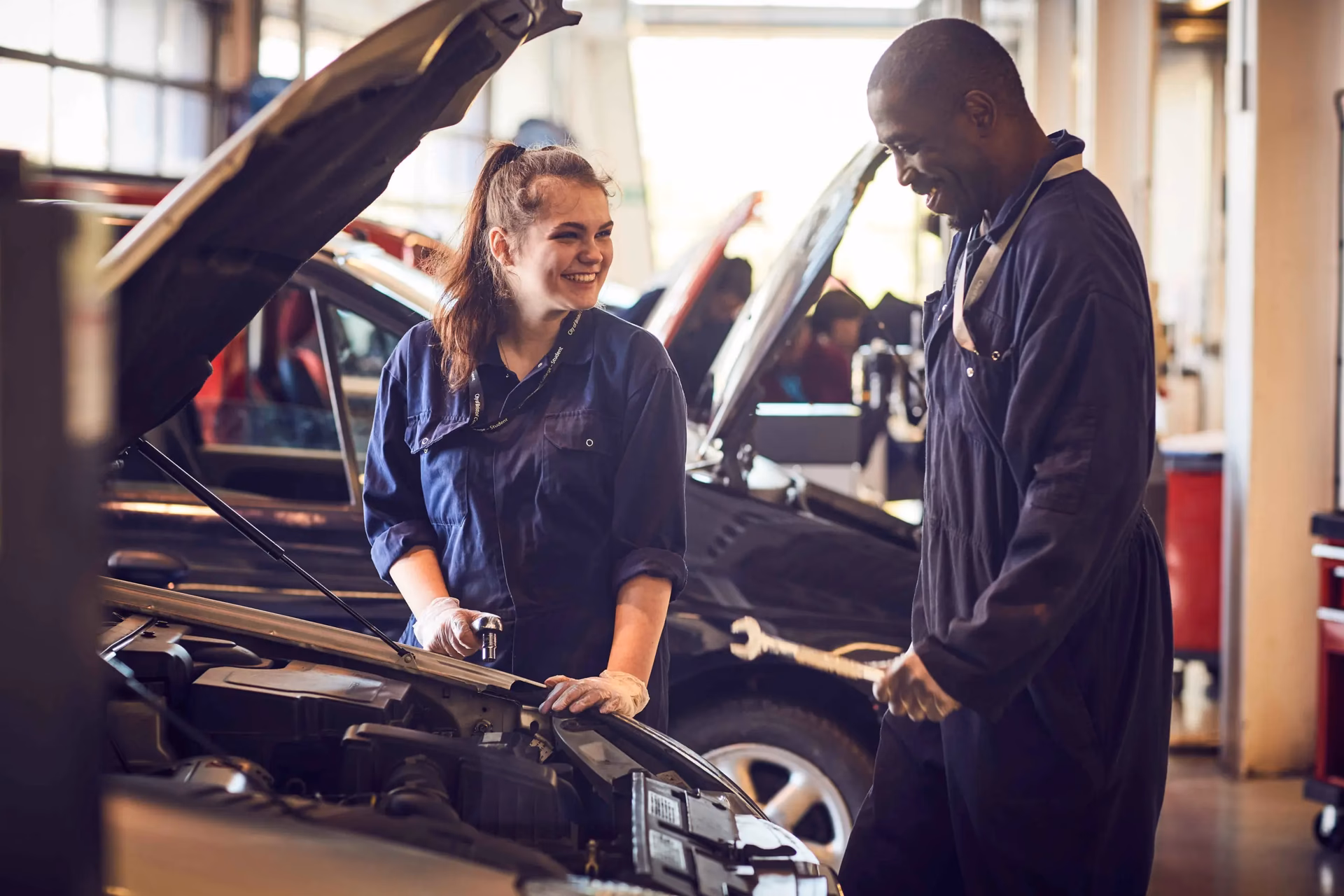 Where can I study the light vehicle maintenance and Repair Principles course?
