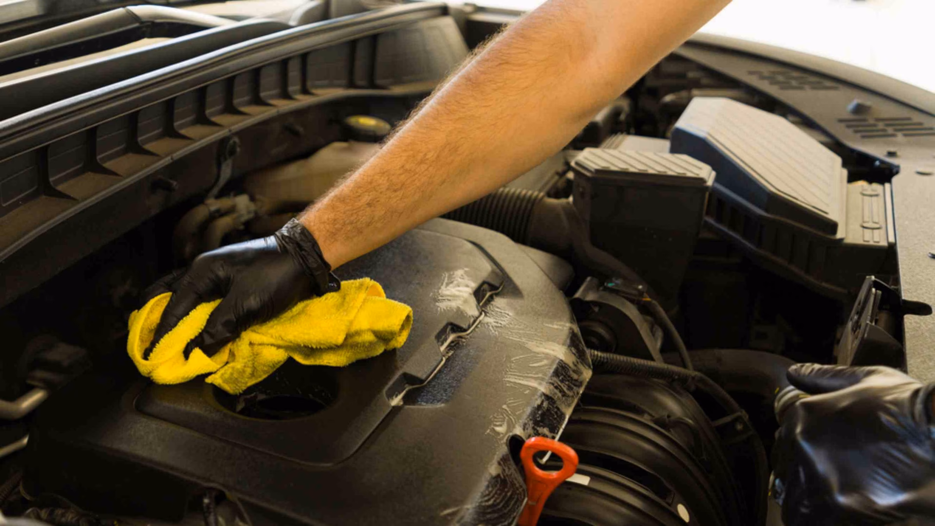 Can a car engine be steam cleaned?