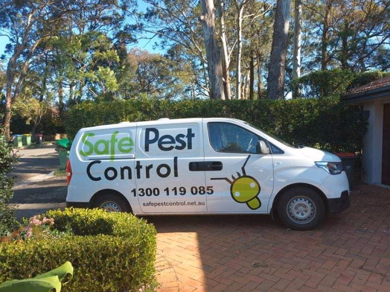 Where can I get pest control in Sydney?