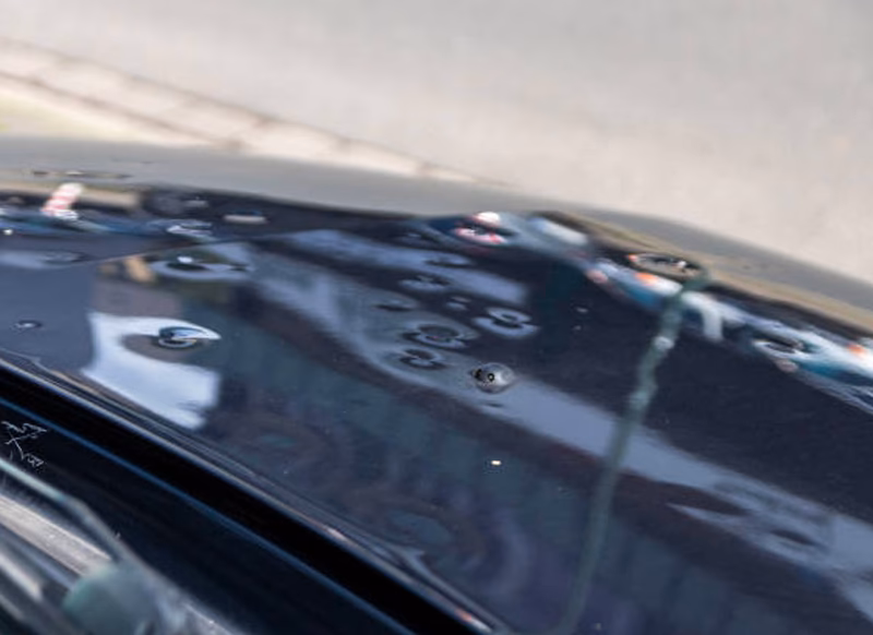 Who is the best hail repair center in Winnipeg?