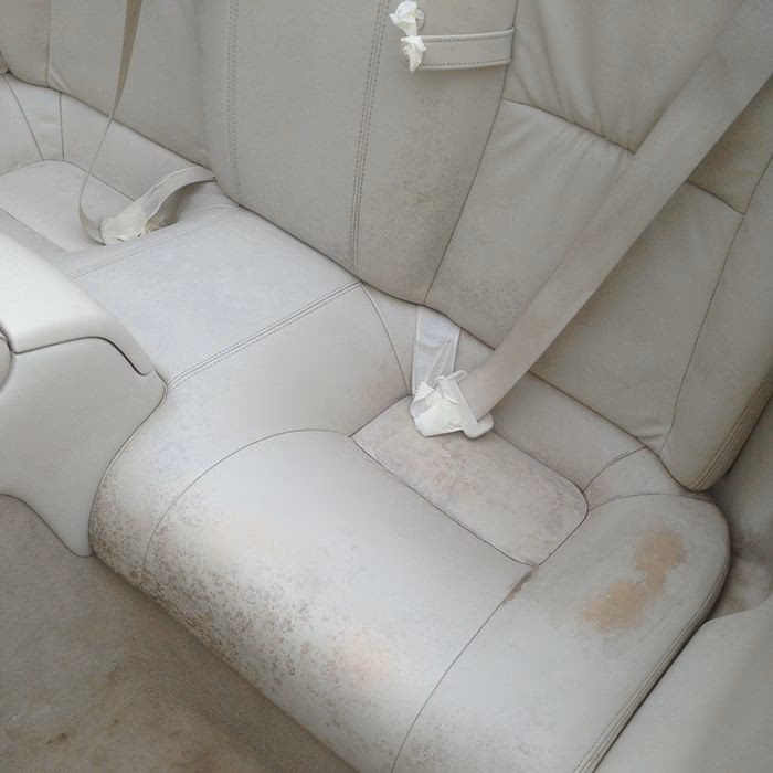 What services does a car repair service offer?