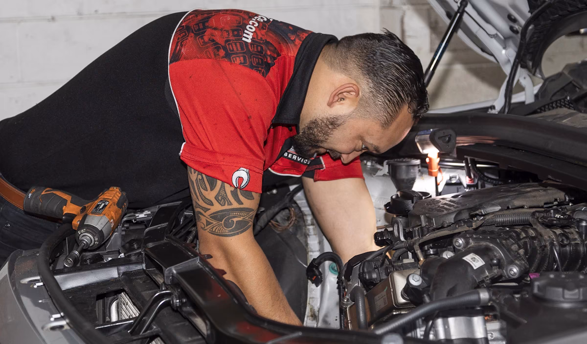 Does CMS offer complete car log book servicing?