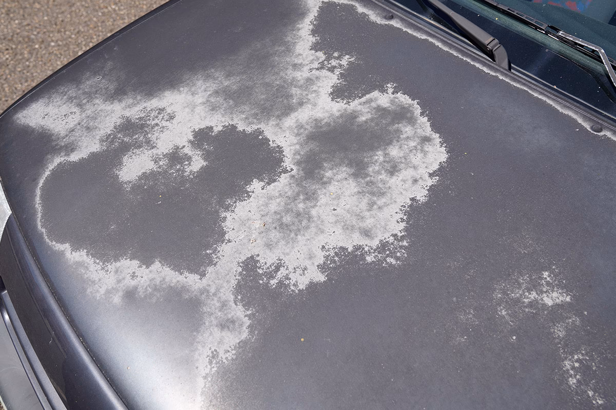 How do you paint a faded car?