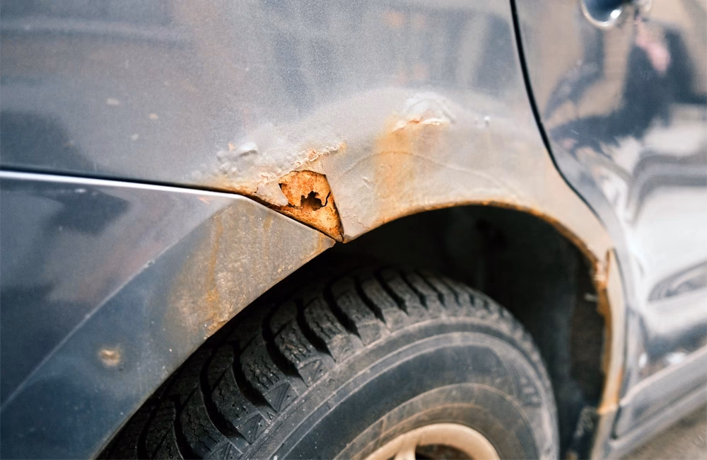 Where can I buy automotive paint in New Zealand?