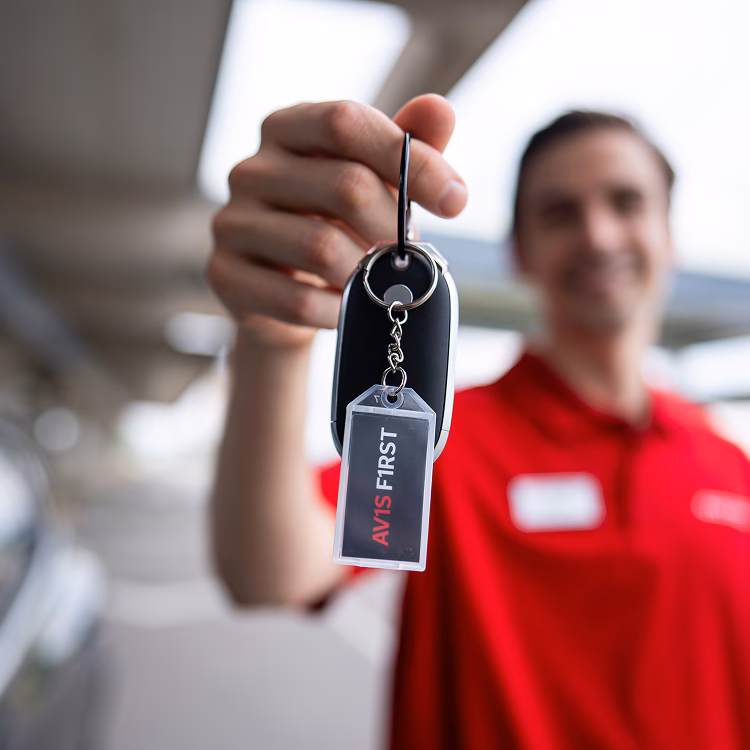 Does Avis include theft protection?