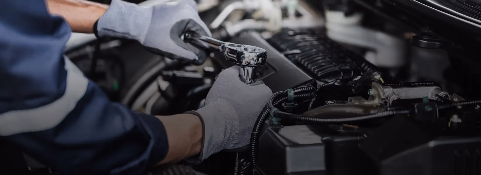 What are people saying about auto repair services in Bismarck?