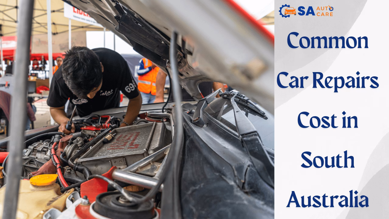 Where are the best mechanics in South Australia?